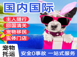 陇南成县航空空运国际宠物托运 【国